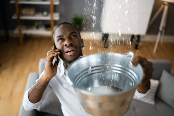 Best Water damage cleanup near me  in Garden City, MO