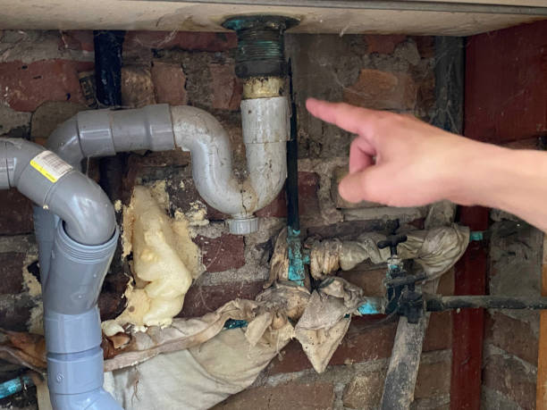 Best Fire Damage Restoration  in Garden City, MO